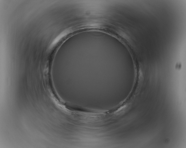 X0000110991450200906191416