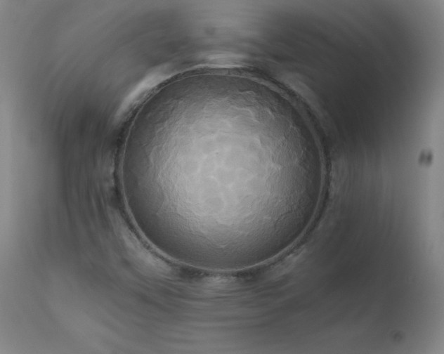 X0000110991451200906191416