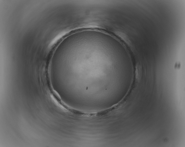 X0000110991452200906191416