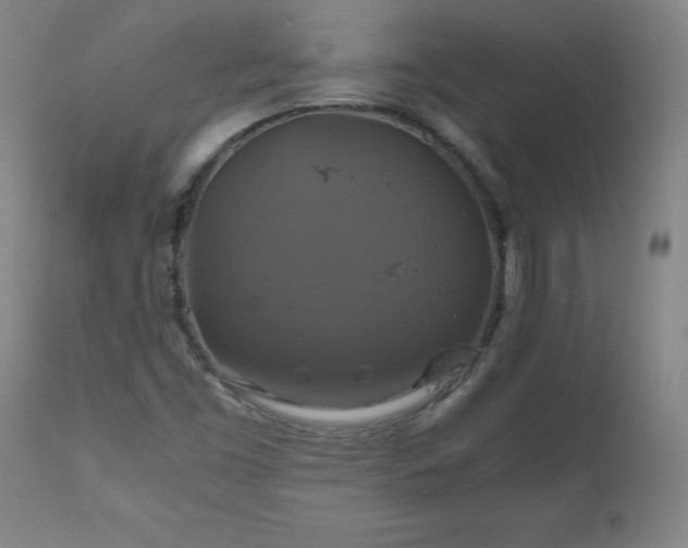 X0000110991453200906191416