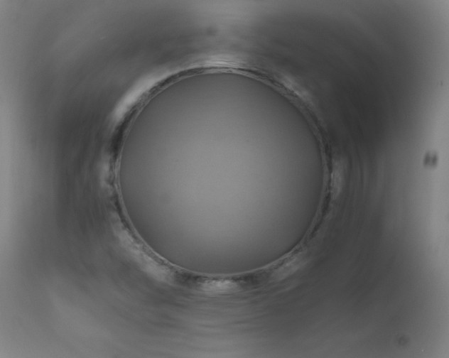 X0000110991454200906191416
