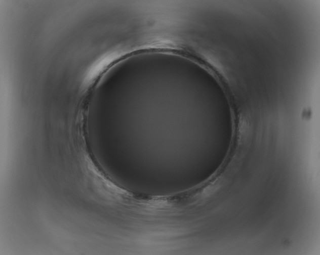 X0000110991455200906191416