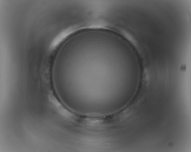 X0000110991456200906191416