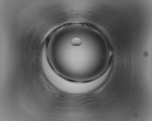 X0000110991457200906191416