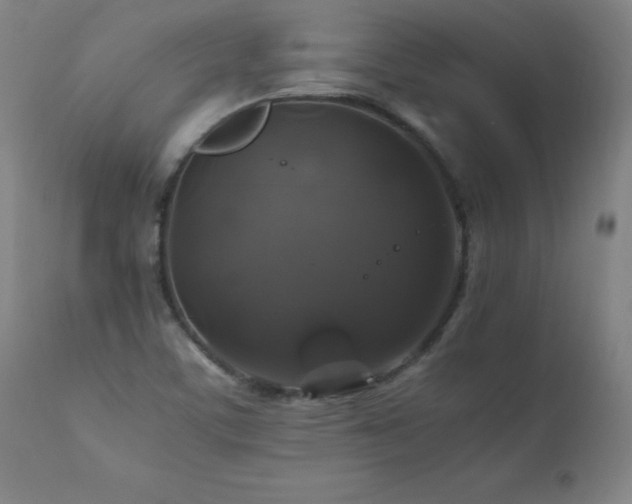 X0000110991459200906191416