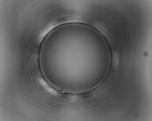 X0000110991460200906191416
