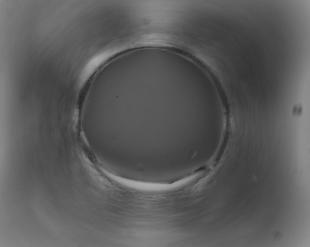 X0000110991461200906191416
