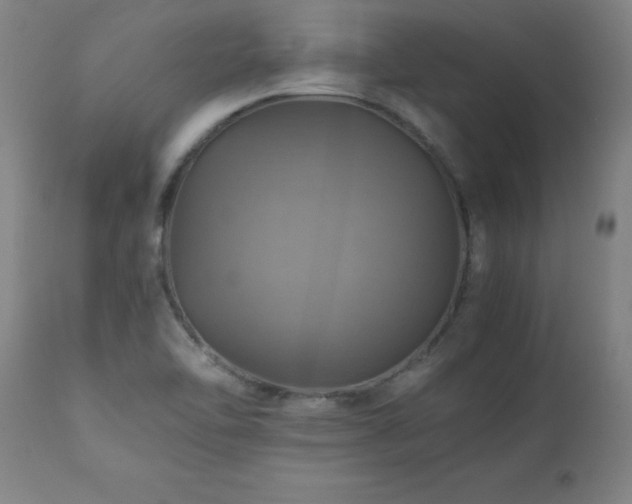 X0000110991462200906191416