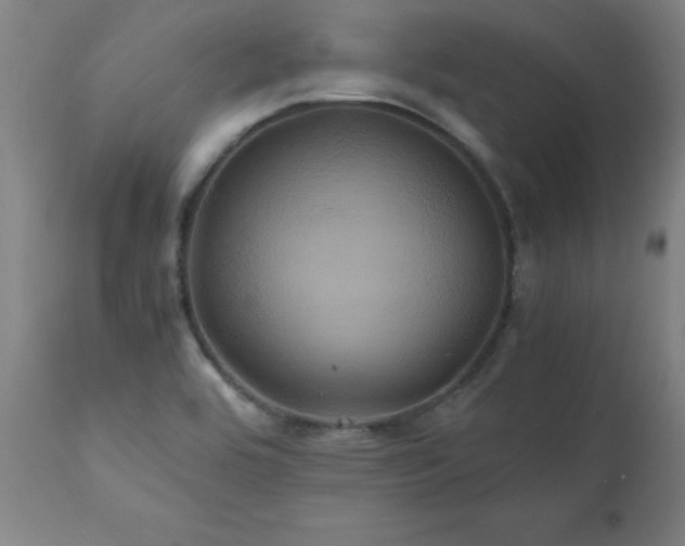 X0000110991464200906191416