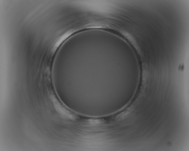 X0000110991465200906191416