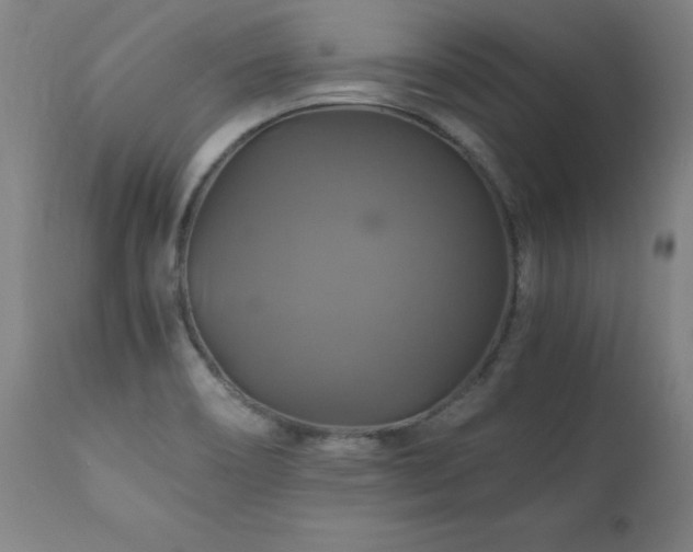 X0000110991466200906191416