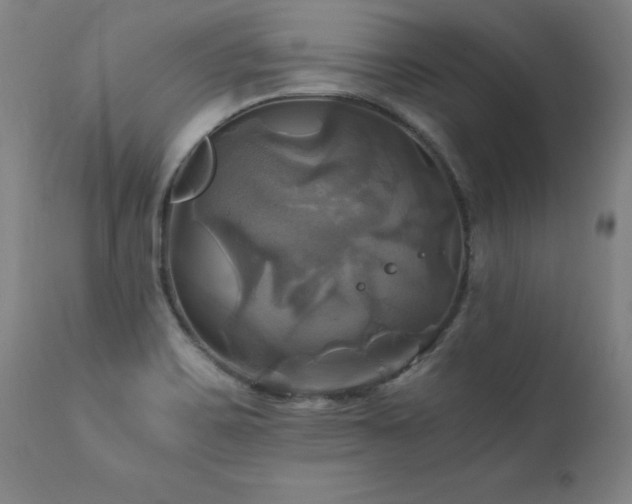 X0000110991467200906191416