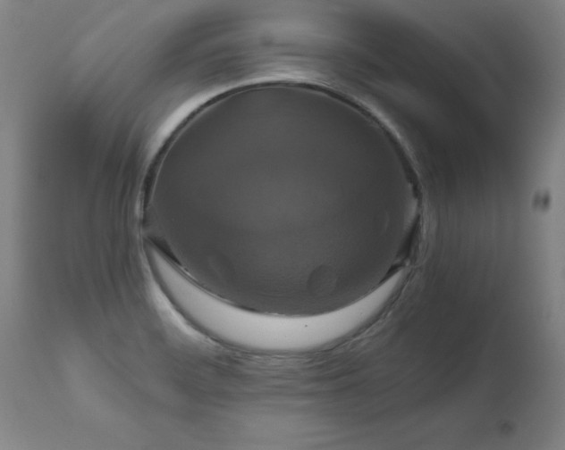 X0000110991468200906191416
