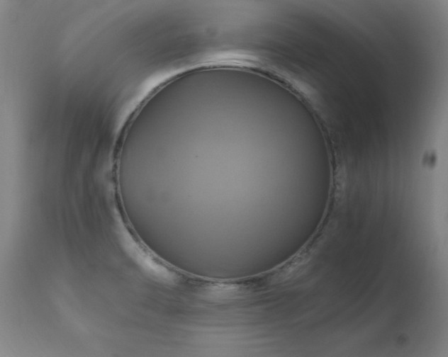 X0000110991470200906191416