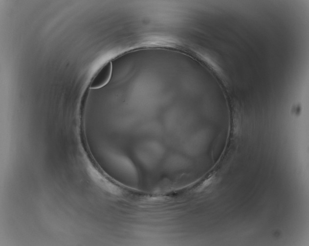 X0000110991471200906191416