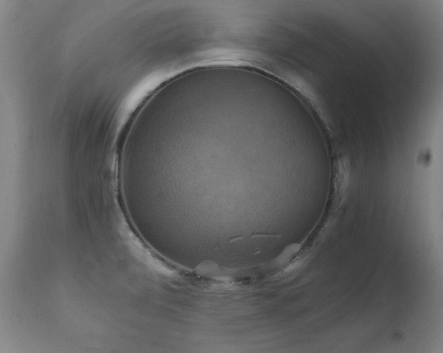 X0000110991472200906191416