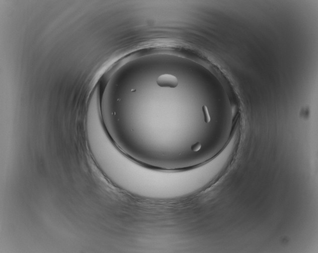 X0000110991473200906191416