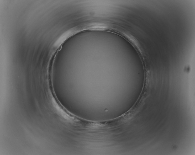 X0000110991475200906191416
