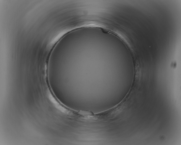 X0000110991476200906191416