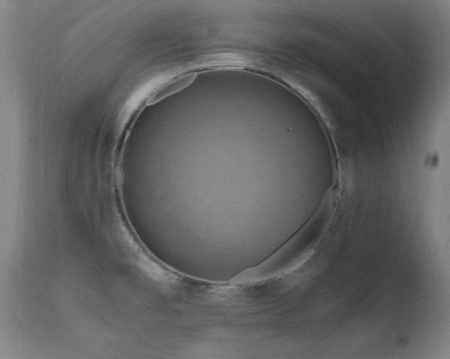 X0000110991477200906191416