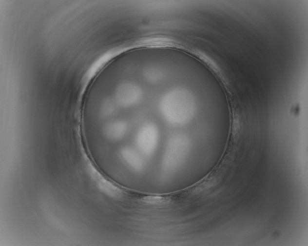 X0000110991478200906191416
