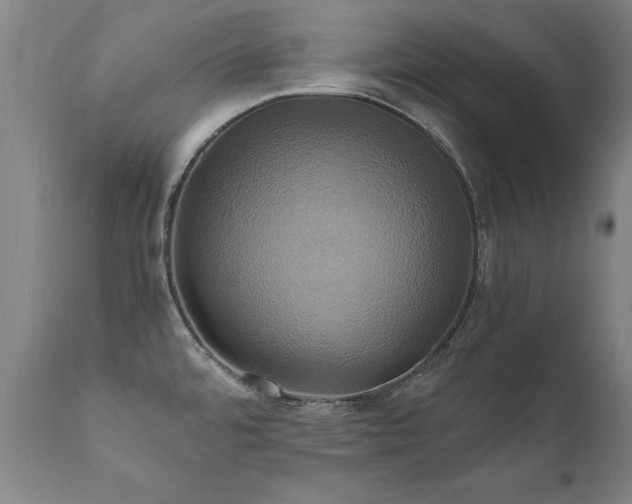 X0000110991480200906191416
