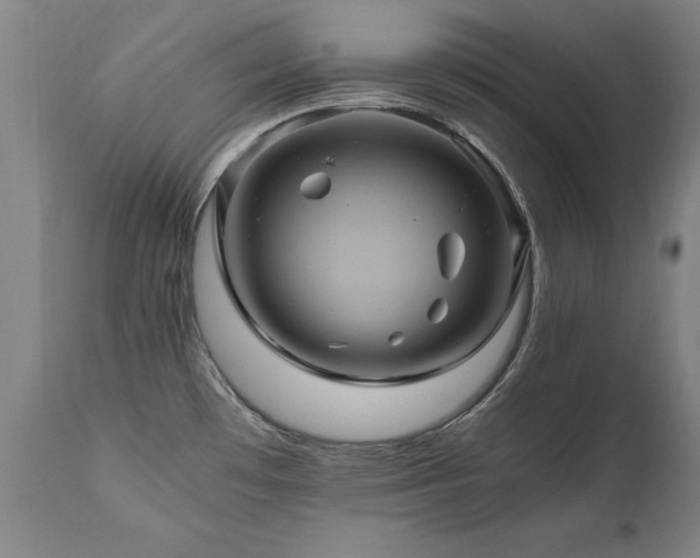 X0000110991481200906191416