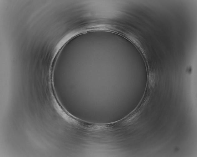 X0000110991482200906191415