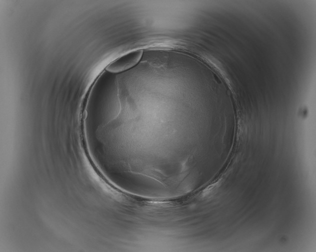 X0000110991483200906191415