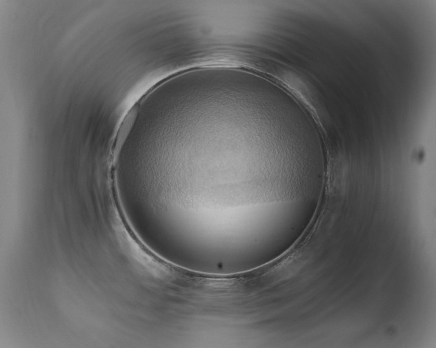 X0000110991484200906191415