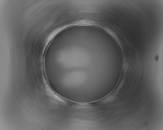 X0000110991486200906191415
