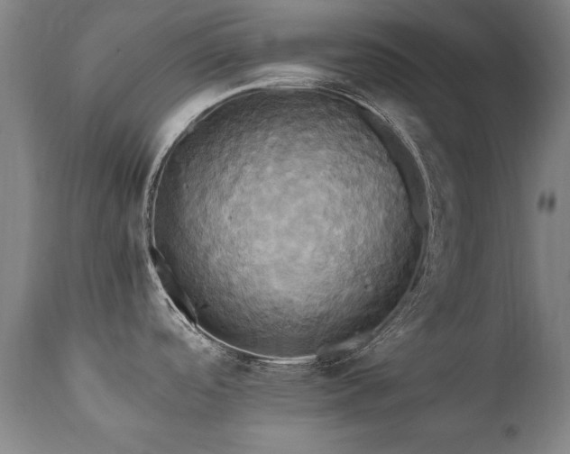 X0000110991488200906191415