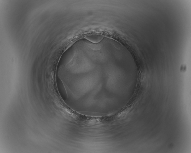 X0000110991489200906191415