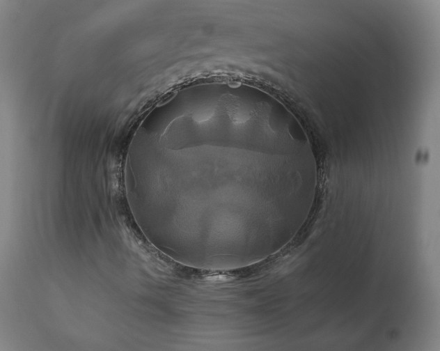 X0000110991490200906191415
