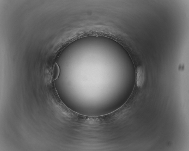X0000110991491200906191415