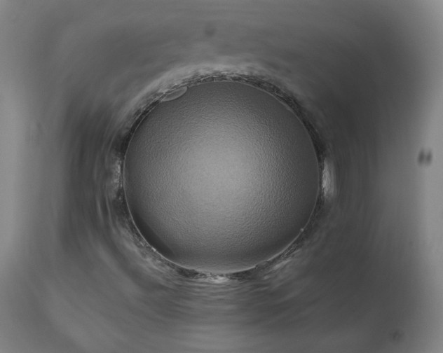 X0000110991492200906191415