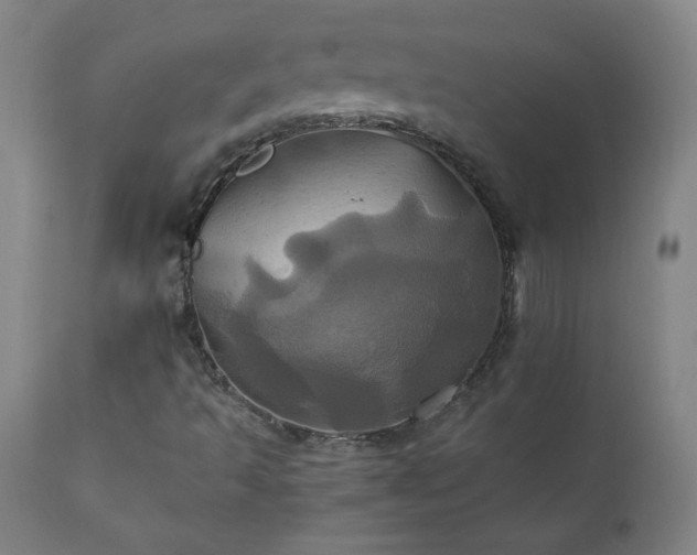 X0000110991493200906191415