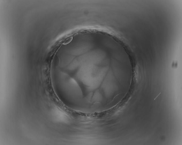 X0000110991494200906191415