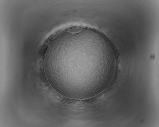 X0000110991495200906191415