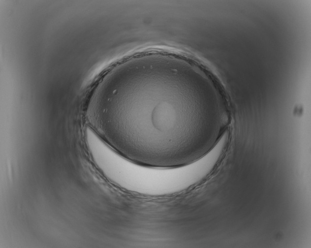 X0000110991496200906191415