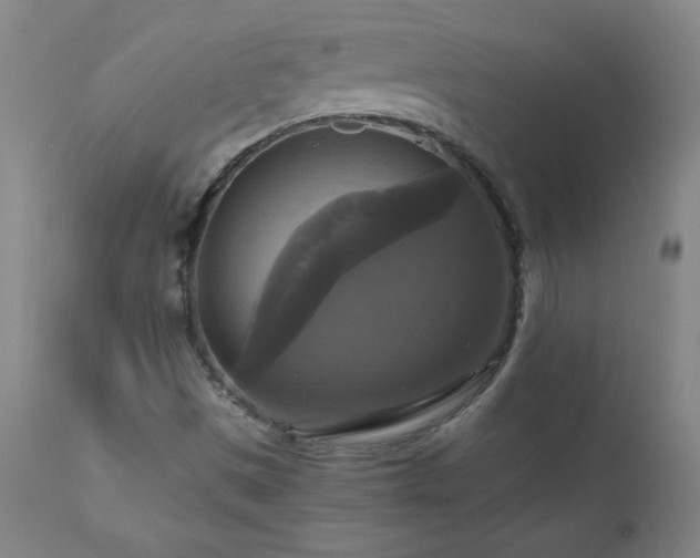 X0000110991497200906191415