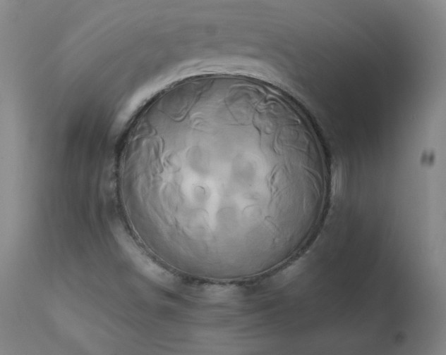 X0000110991498200906191415