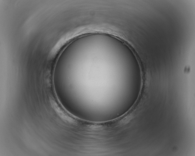 X0000110991499200906191415