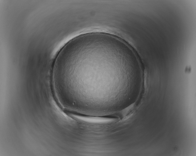 X0000110991500200906191415