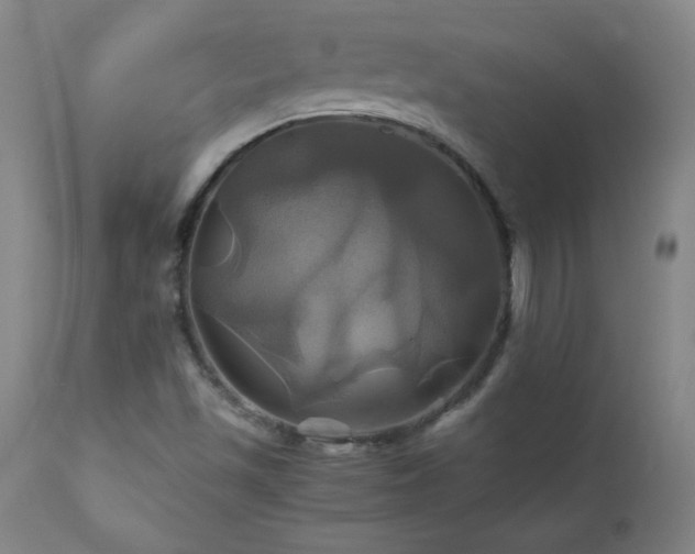 X0000110991501200906191415