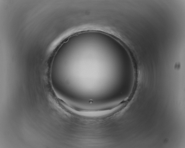X0000110991502200906191415