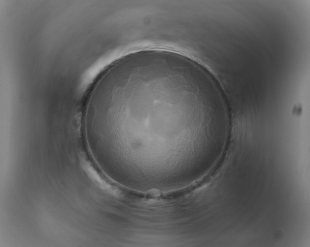 X0000110991503200906191415