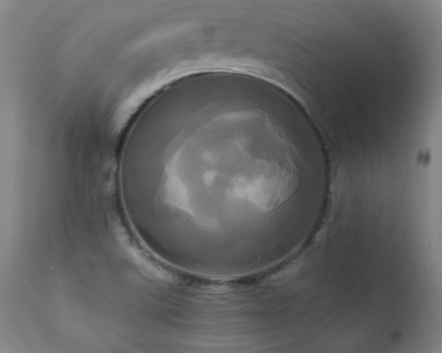 X0000110991507200906191415