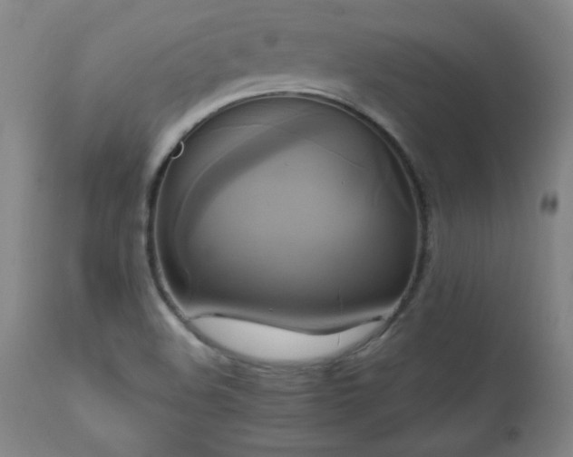 X0000110991508200906191415