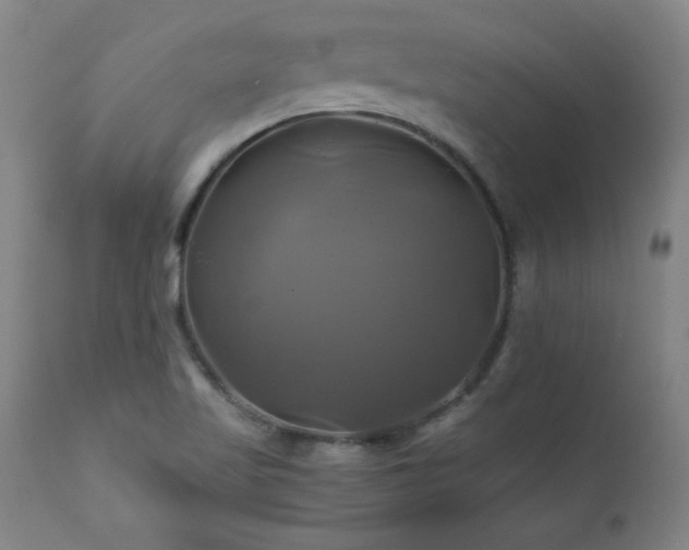X0000110991509200906191415